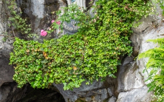 068-Lourdes2019-0345