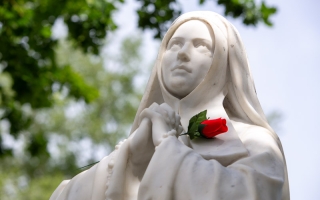 182-Lourdes2019-0975