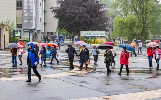 224-Lourdes2019-1159