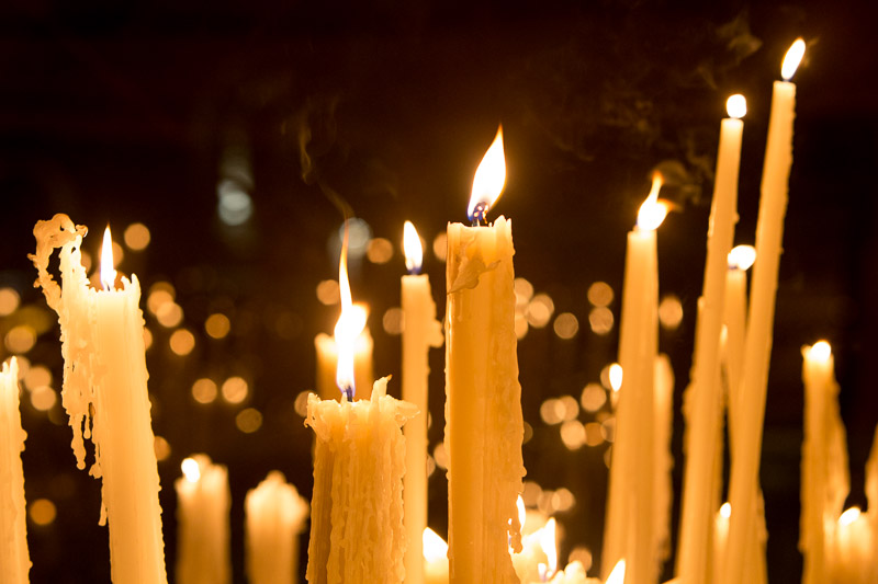 1540-lourdes2016-1792