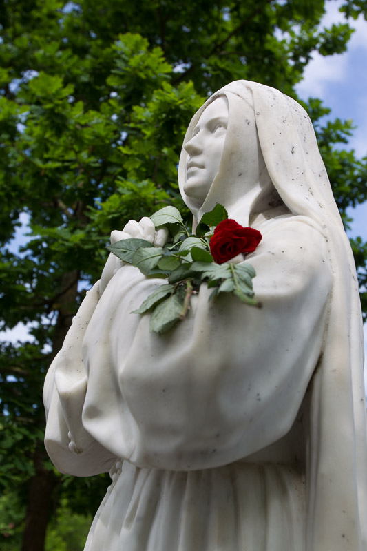 1650-lourdes2017-4827