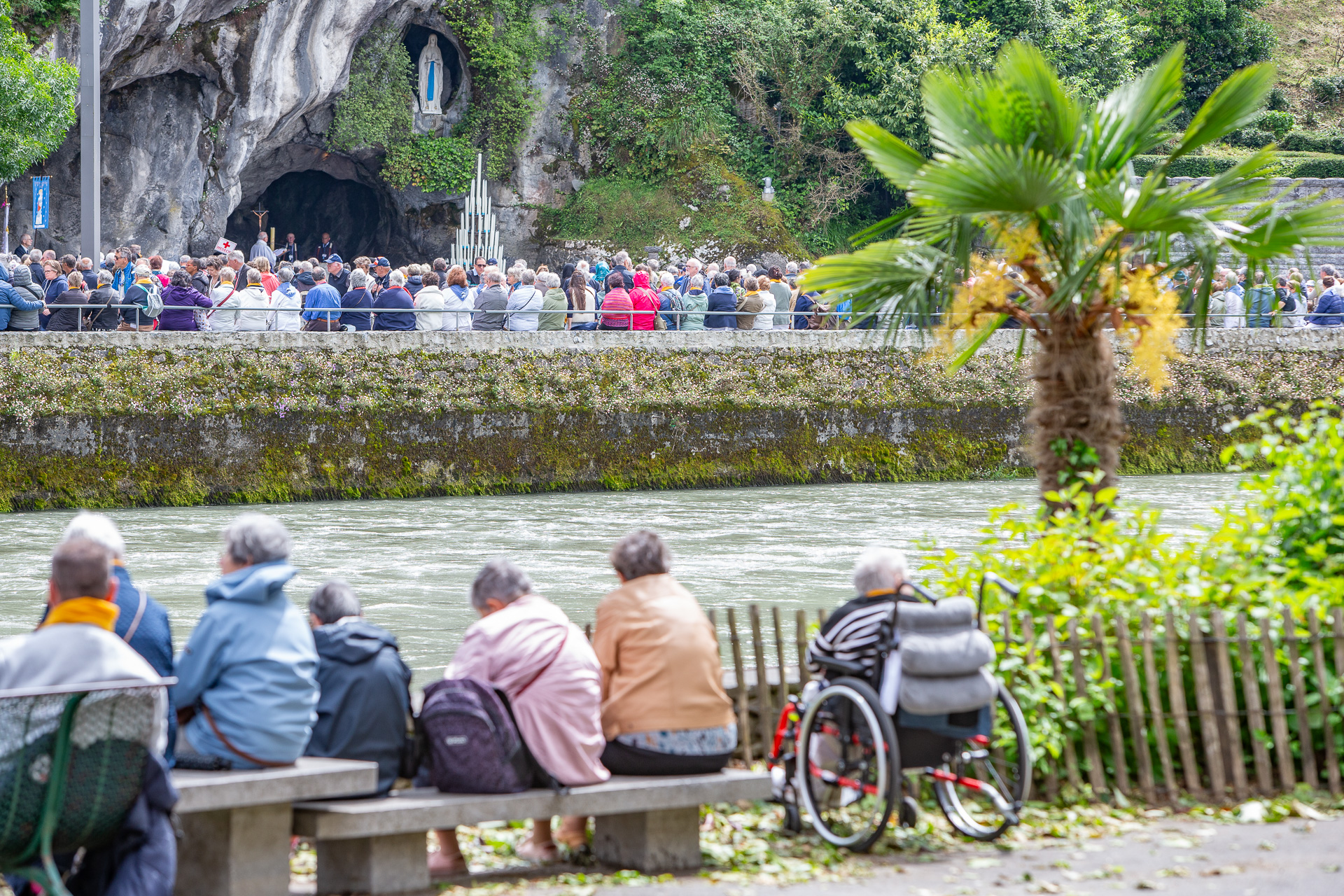 070-Lourdes 2025-3981