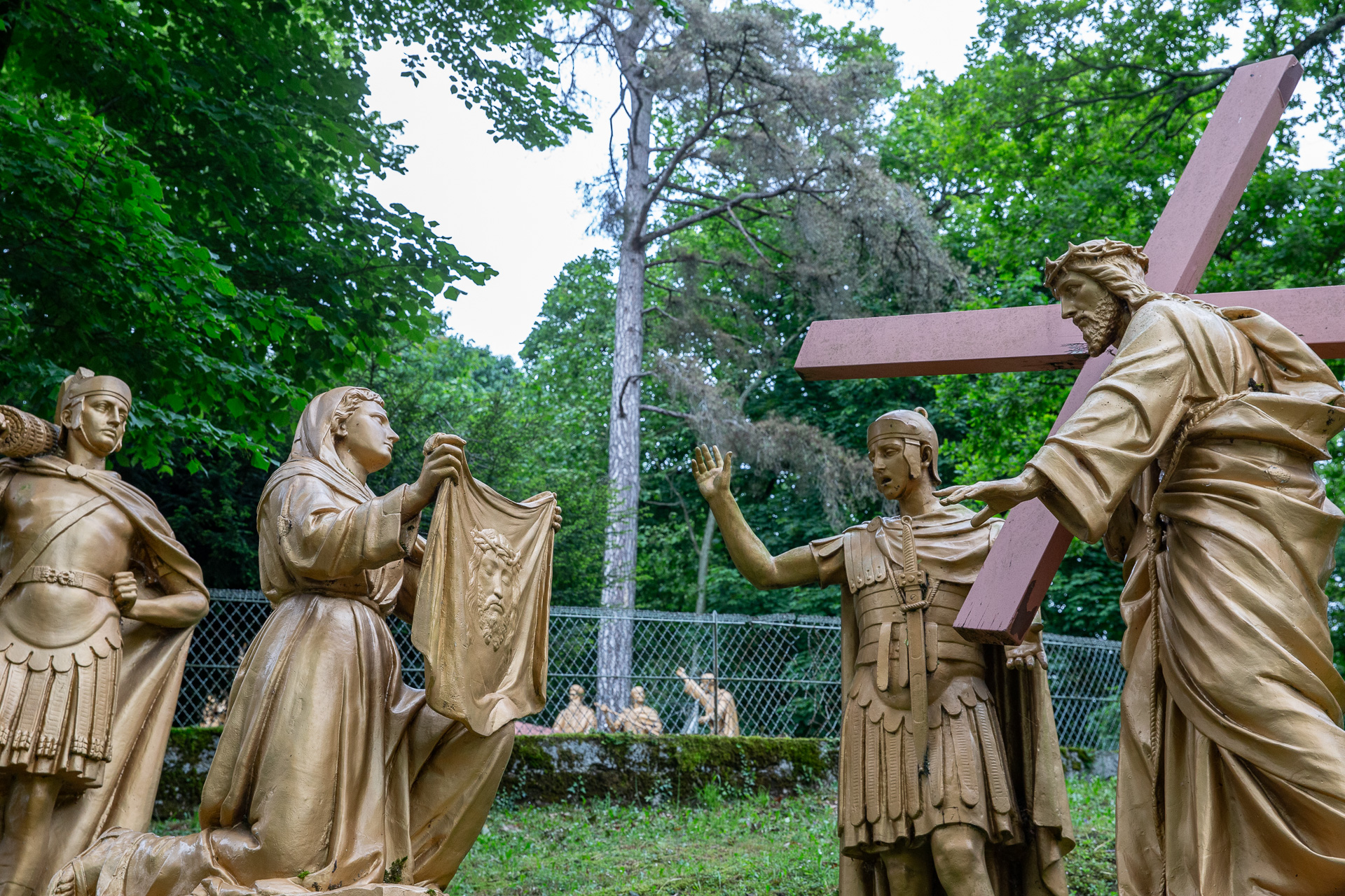 113-Lourdes 2025-4126