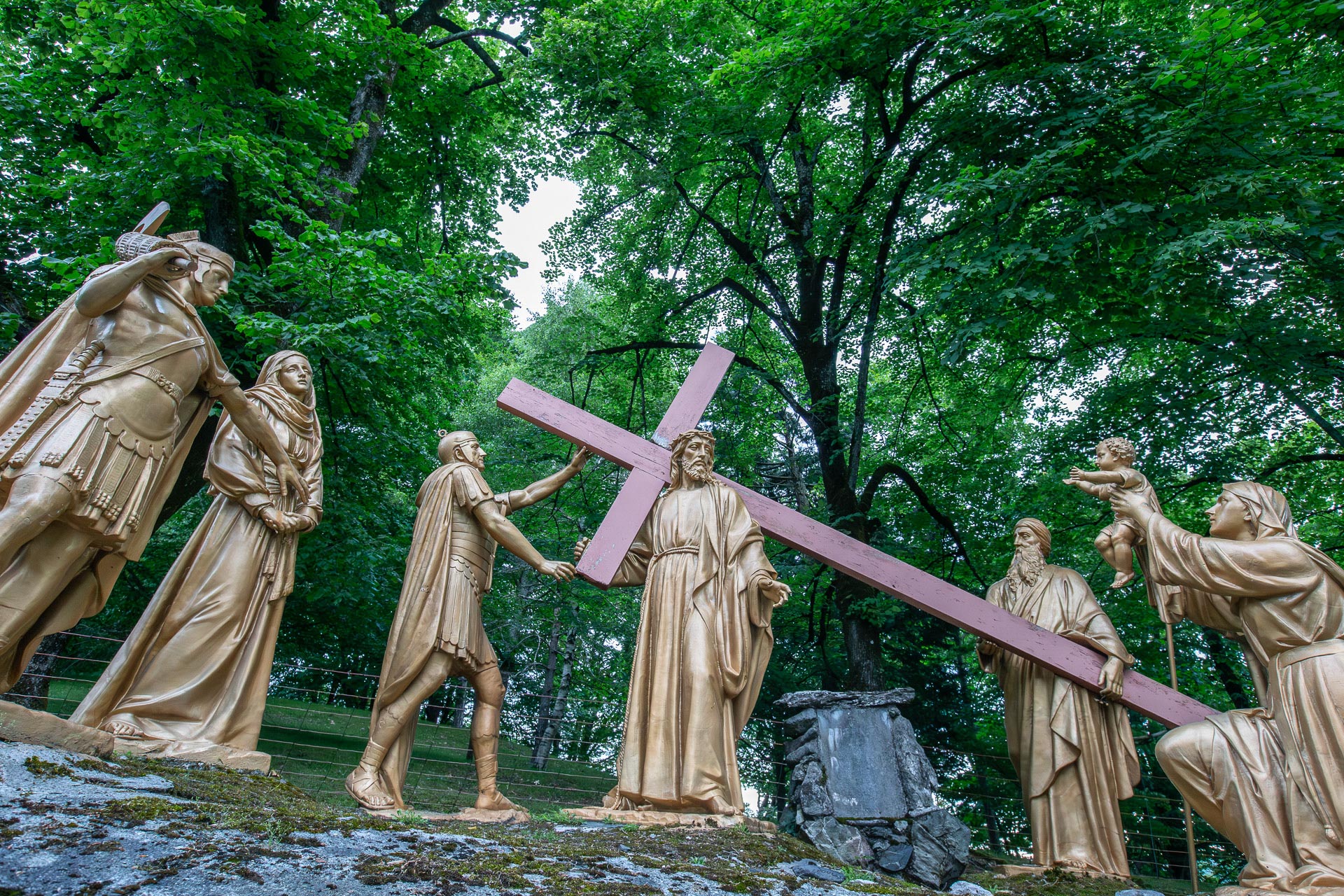 053-Lourdes 2026-6979