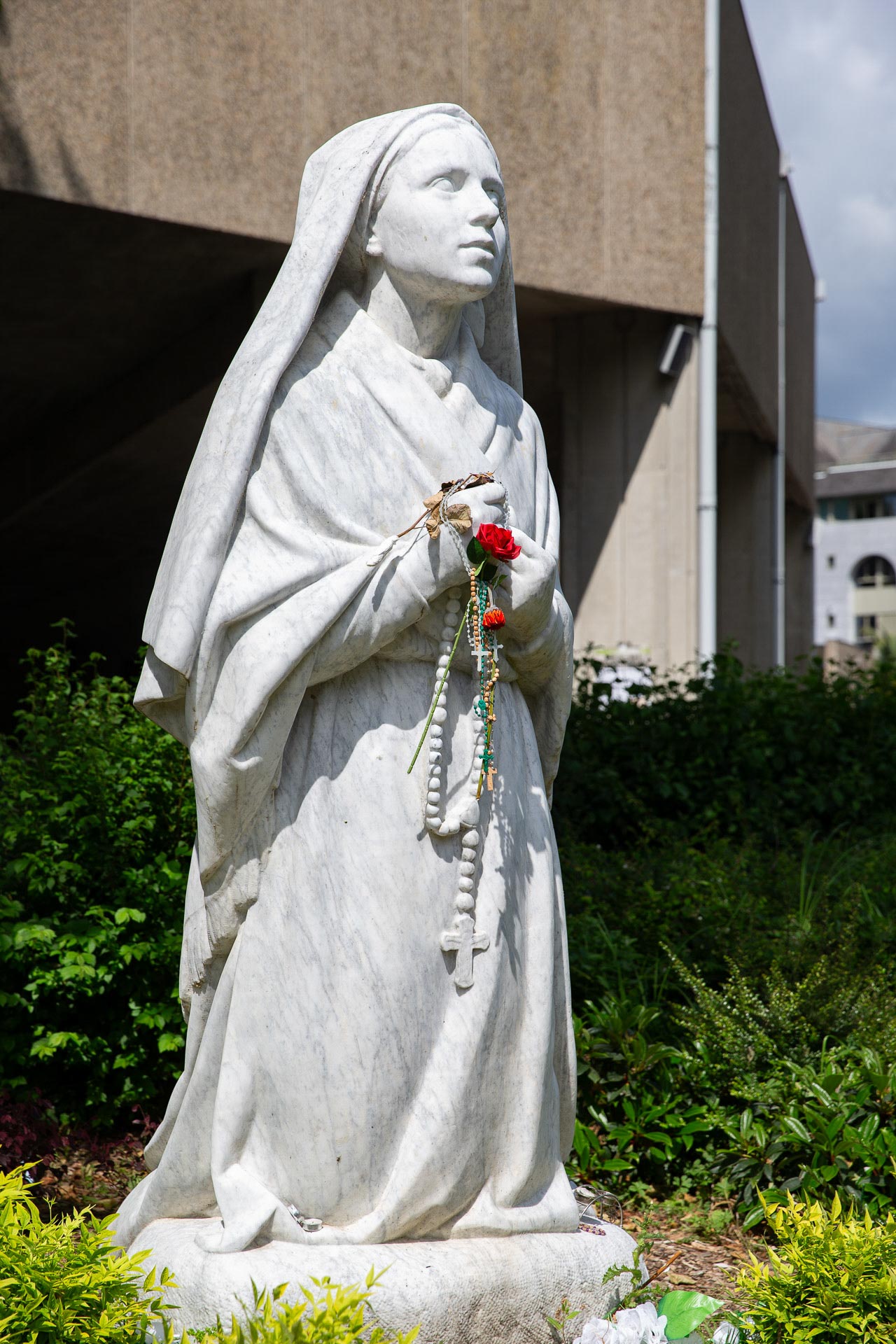 195-Lourdes 2026-4539