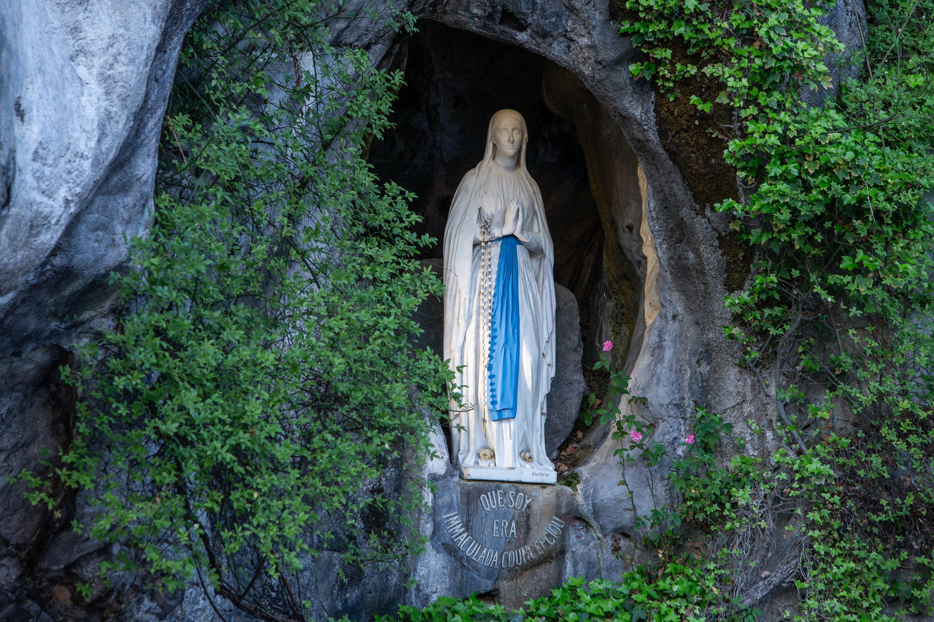 222-Lourdes 2026-7849